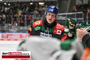 Panther-Grizzlys_Eishockey_AEV_3724