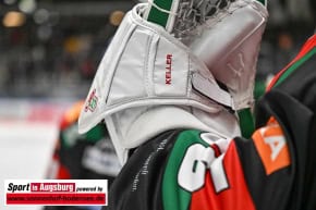 Panther-Grizzlys_Eishockey_AEV_3735