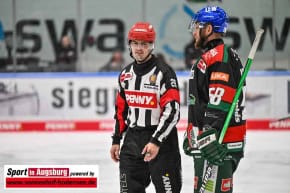 Panther-Grizzlys_Eishockey_AEV_3783