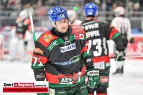 Panther-Grizzlys_Eishockey_AEV_3799