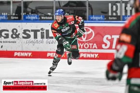 Panther-Grizzlys_Eishockey_AEV_3850