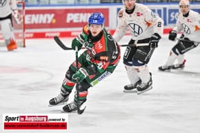 Panther-Grizzlys_Eishockey_AEV_3861