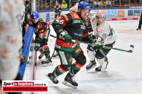 Panther-Grizzlys_Eishockey_AEV_3875