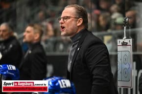 Panther-Grizzlys_Eishockey_AEV_4039