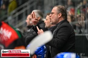 Panther-Grizzlys_Eishockey_AEV_4048