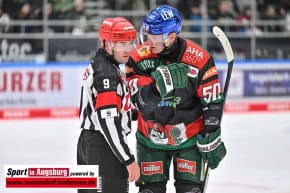 Panther-Grizzlys_Eishockey_AEV_4058