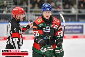 Panther-Grizzlys_Eishockey_AEV_4063