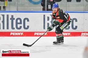 Panther-Grizzlys_Eishockey_AEV_4073