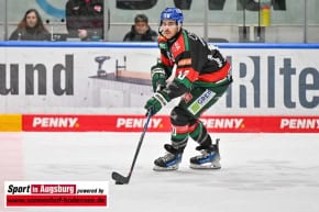 Panther-Grizzlys_Eishockey_AEV_4090