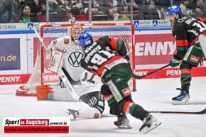 Panther-Grizzlys_Eishockey_AEV_4133