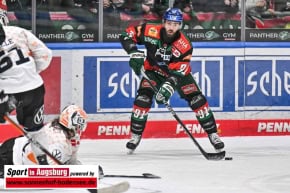 Panther-Grizzlys_Eishockey_AEV_4144