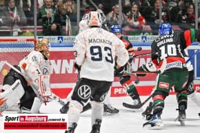 Panther-Grizzlys_Eishockey_AEV_4149