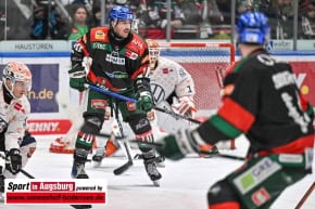 Panther-Grizzlys_Eishockey_AEV_4161