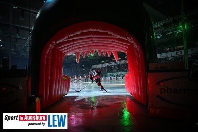 Panther-Grizzlys_Eishockey_AEV_2851