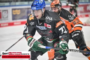 Eishockey_in_Augsburg_AEV_1576