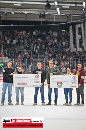 Grizzlys_Wolfsburg_AEV_0708