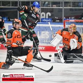 Grizzlys_Wolfsburg_AEV_0813