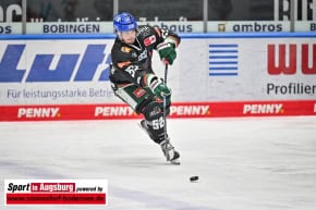 Grizzlys_Wolfsburg_AEV_0879