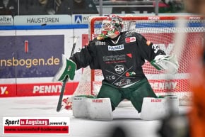 Grizzlys_Wolfsburg_AEV_0972