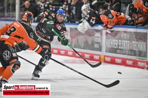 Grizzlys_Wolfsburg_AEV_1238