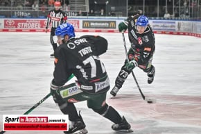 Grizzlys_Wolfsburg_AEV_1302