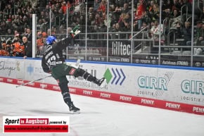 Grizzlys_Wolfsburg_AEV_1308