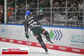 Grizzlys_Wolfsburg_AEV_1312