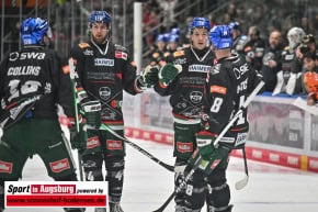 Grizzlys_Wolfsburg_AEV_1329