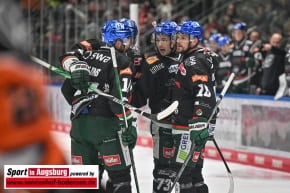 Grizzlys_Wolfsburg_AEV_1339