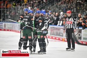 Grizzlys_Wolfsburg_AEV_1350