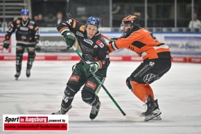 Grizzlys_Wolfsburg_AEV_1428