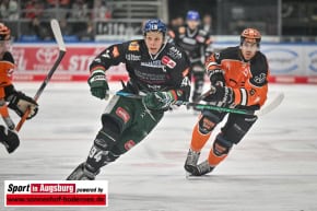 Grizzlys_Wolfsburg_AEV_1433