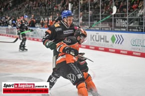 Grizzlys_Wolfsburg_AEV_1438