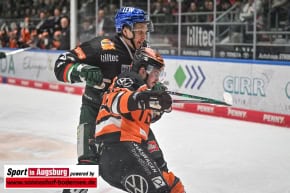 Grizzlys_Wolfsburg_AEV_1439