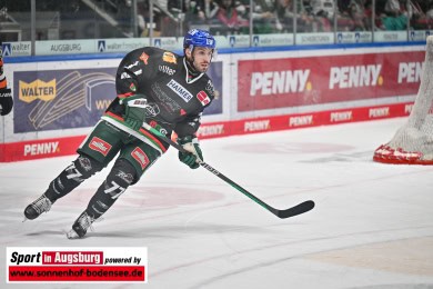 Eishockey_in_Augsburg_AEV_1546