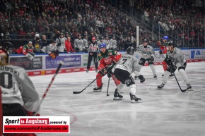 AEV_Koelner_Haie_DEL_SIA_3705