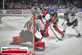 AEV_Koelner_Haie_DEL_SIA_3712