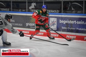 AEV_Koelner_Haie_DEL_SIA_3786