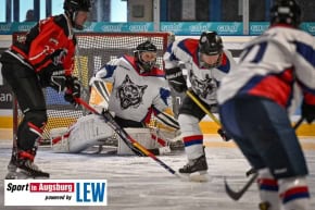 Eishockey_Augsburg_0314