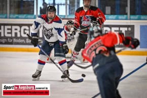 Eishockey_Augsburg_0751