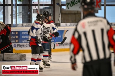 Eishockey_Augsburg_0701