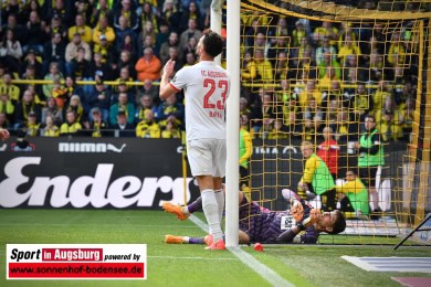Borussia-Dortmund-Bundesliga_2024-05-04-BVB-FC-Augsburg-5-1-32
