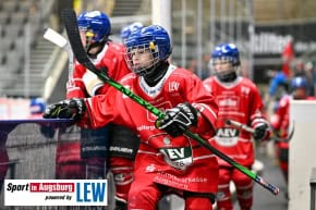 DEL_U11_Cup_Eishockey_AEV_3066