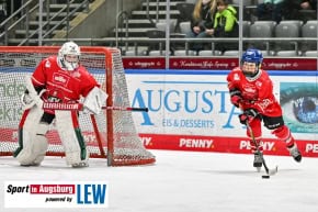 DEL_U11_Cup_Eishockey_AEV_3473