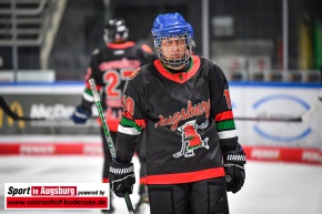 DM_Feuerwehr_Eishockey_Augsburg_SIA_7459