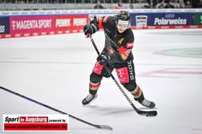 Deutschland_Slowakei_Eishockey_1594