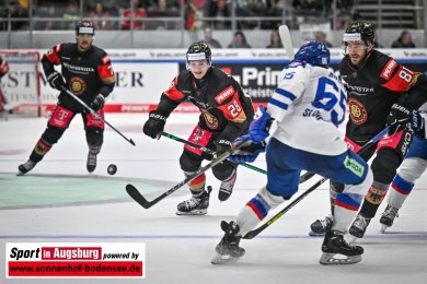 Deutschland_Slowakei_Eishockey_1518