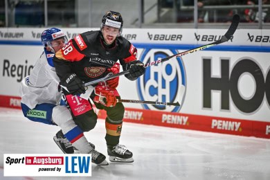 Eishockey_Nationalmannschaft_Augsburg_0812