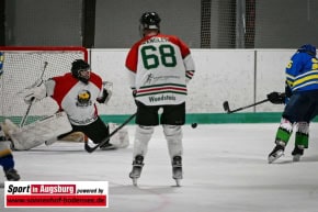 Eishockey_Augsburg_0529