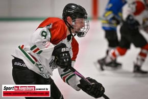 Eishockey_Augsburg_0576